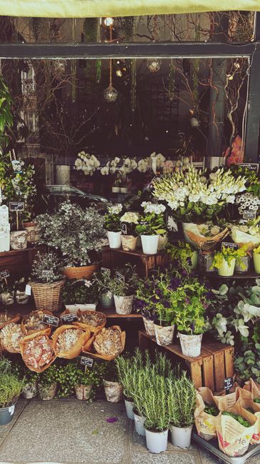 A display of fresh floral arrangements and potted plants inside a florist shop, with a focus on white and green flowers including chrysanthemums and hydrangeas, arranged in white ceramic pots and wove