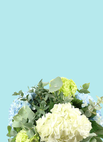 Same day Flowers Castelnau